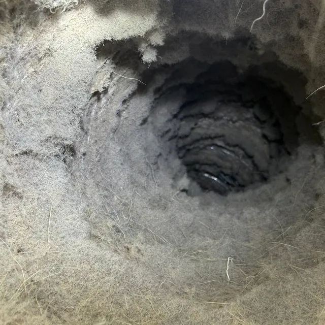 Lint and hair packed inside old flex dryer vent from Creekridge Eden