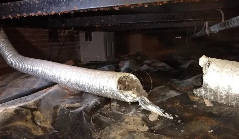 Overlooked Maintenance When Buying a Home: Dryer Vent Inspection & Cleaning