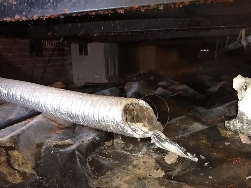 Overlooked Maintenance When Buying a Home: Dryer Vent Inspection & Cleaning