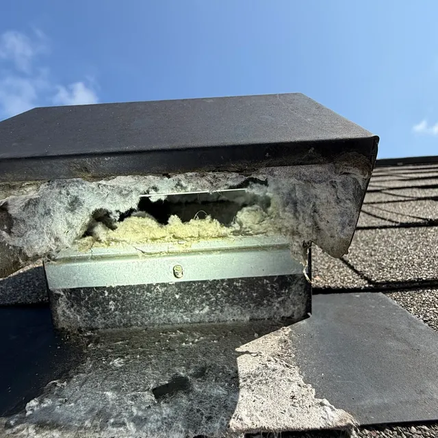 Packed metal dryer vent cover on a west Greensboro roof