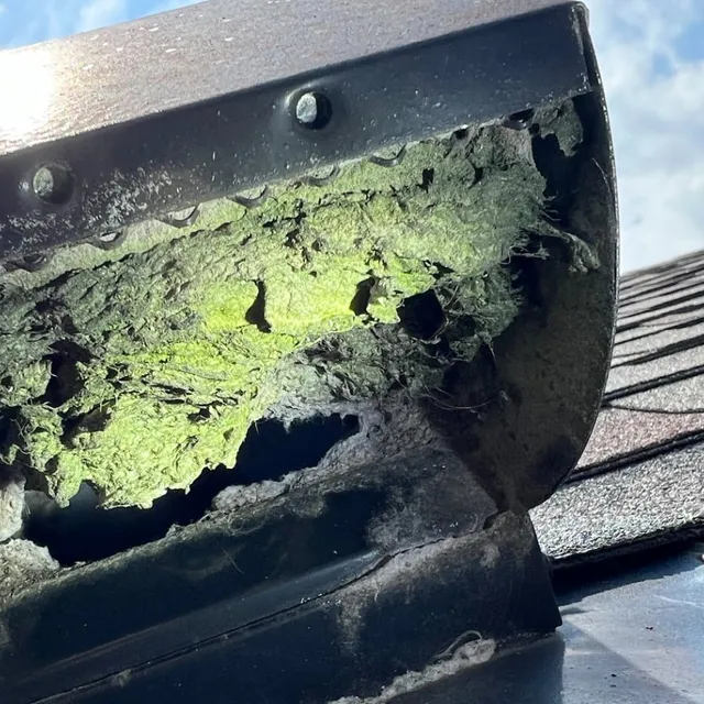 Roof vent cover