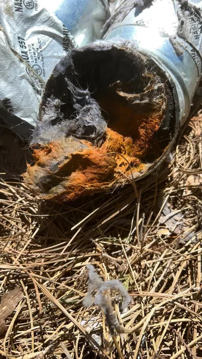 Rusty wet lint
