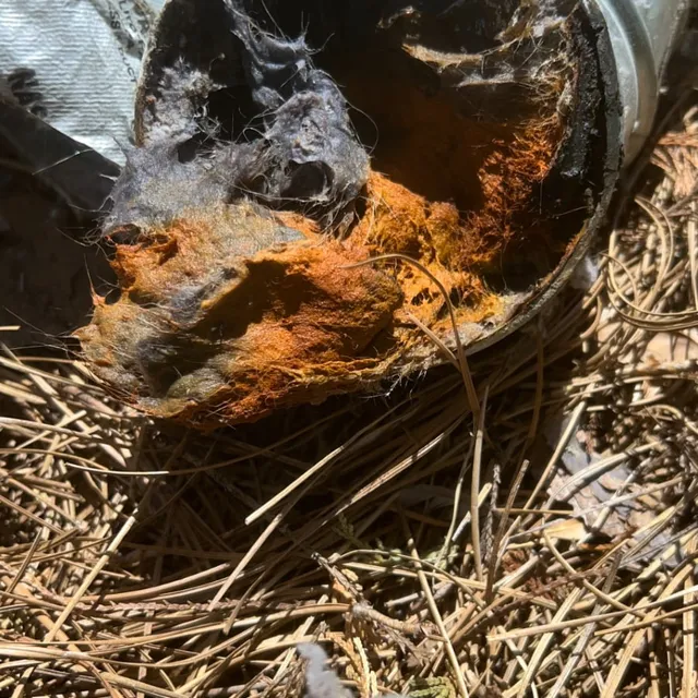 Rusty wet lint