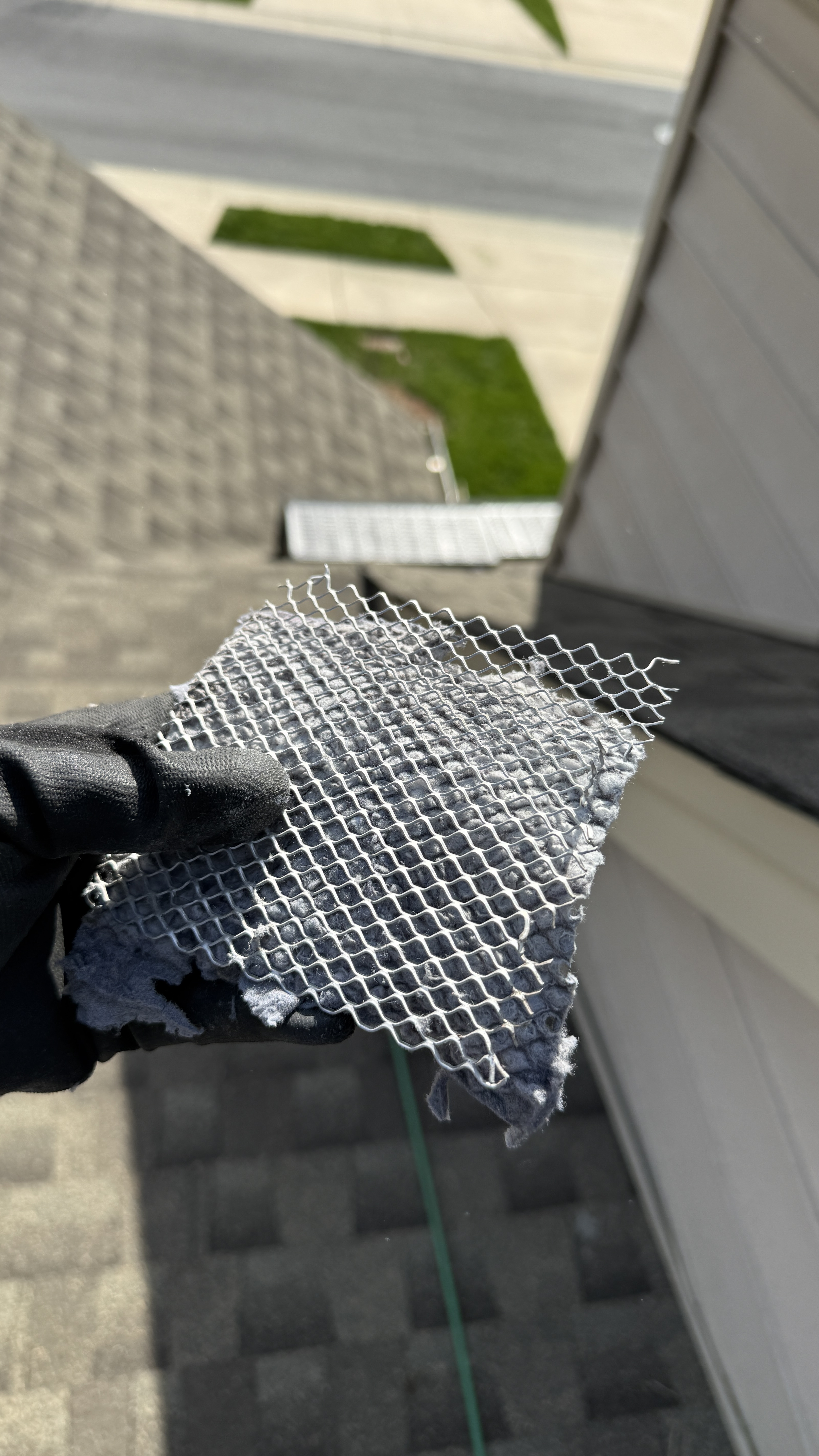 Roof cover screen blocked with lint at The Trellises