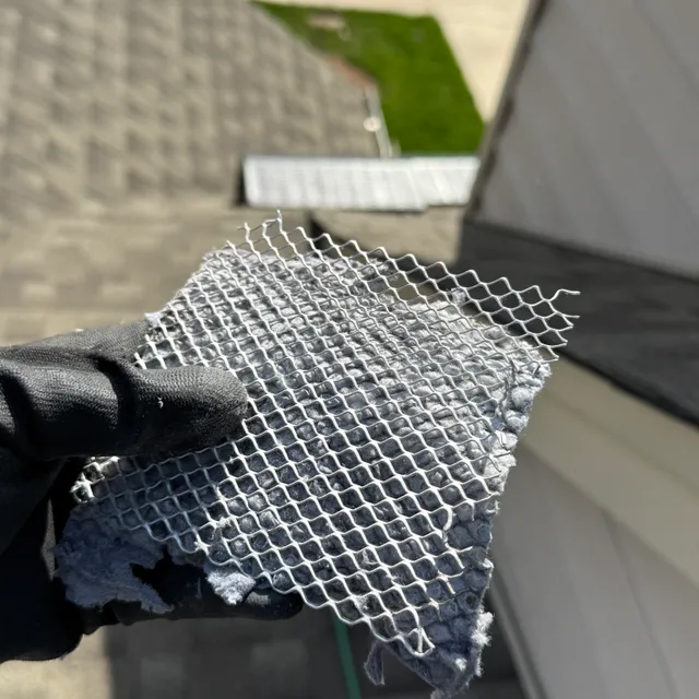 Roof cover screen blocked with lint at The Trellises