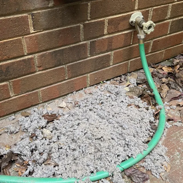 New stainless dryer vent cover and lint cleaned from the line in Coble Farm Greensboro