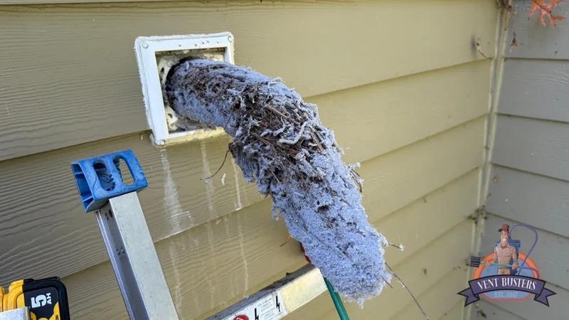 The birds are back and they are coming for your dryer vent (Summerfield NC)
