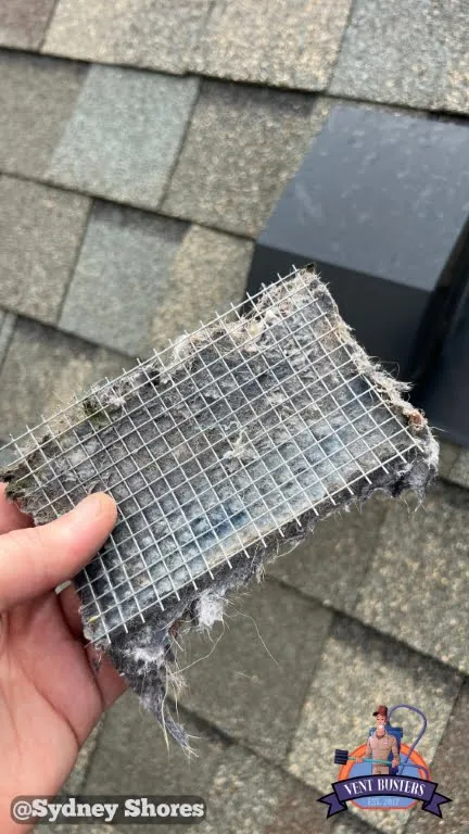 Condensation in dryer vent Sydney Shores