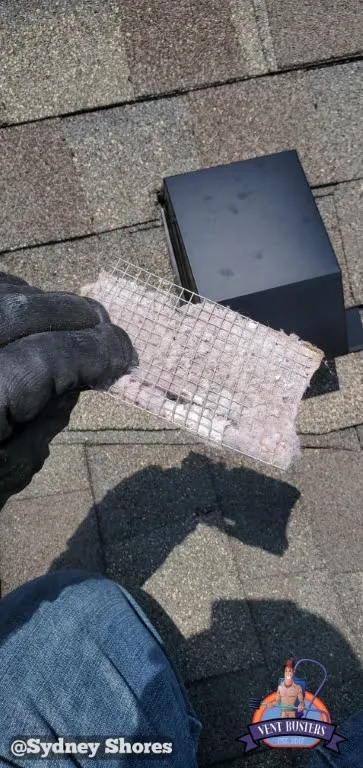 Dryer vent roof pathway Sydney Shores Greensboro