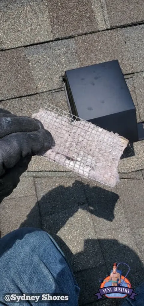 Dryer vent roof pathway Sydney Shores Greensboro