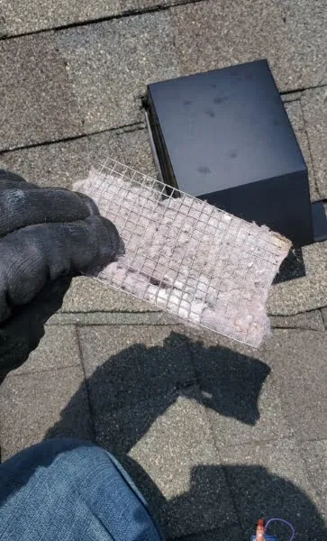 Dryer vent roof pathway Sydney Shores Greensboro