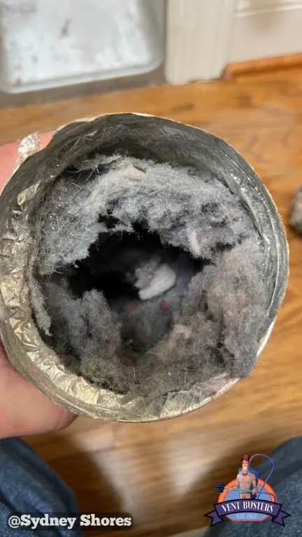 Dryer vent service Sydney Shores Greensboro
