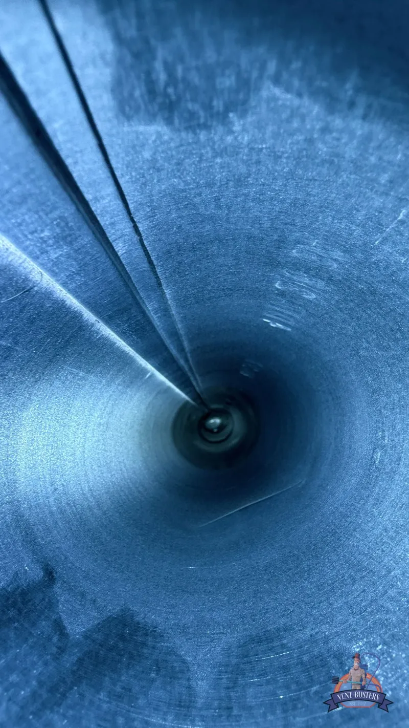 That’s a clean dryer vent