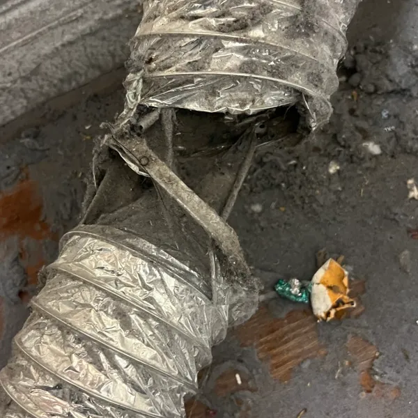 Torn dryer vent hose Whisper Creek