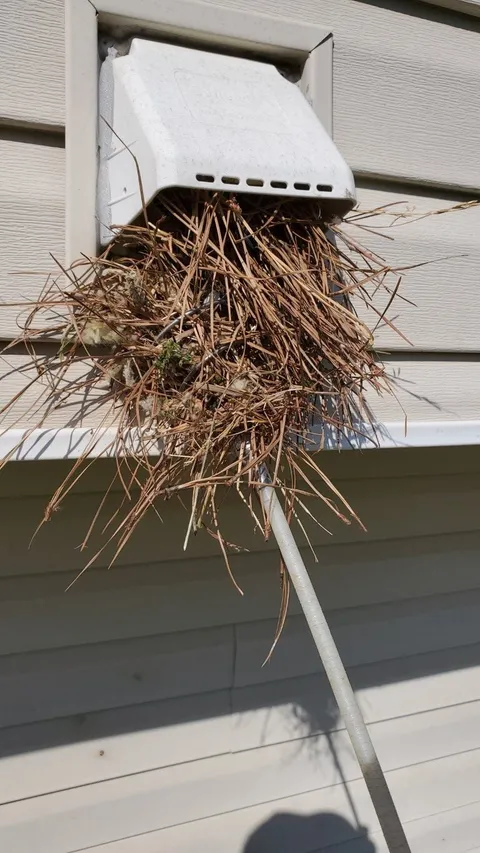 Bird nests removed by Vent Busters