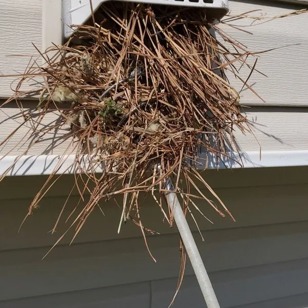 Bird nests removed by Vent Busters