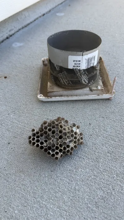 Wasp nest removed from a bathroom soffit vent in Reedy Fork Ranch