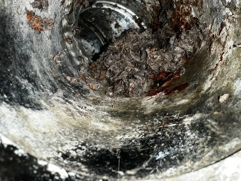 Wet Dryer Vent – Why Does My Dryer Smell Bad?