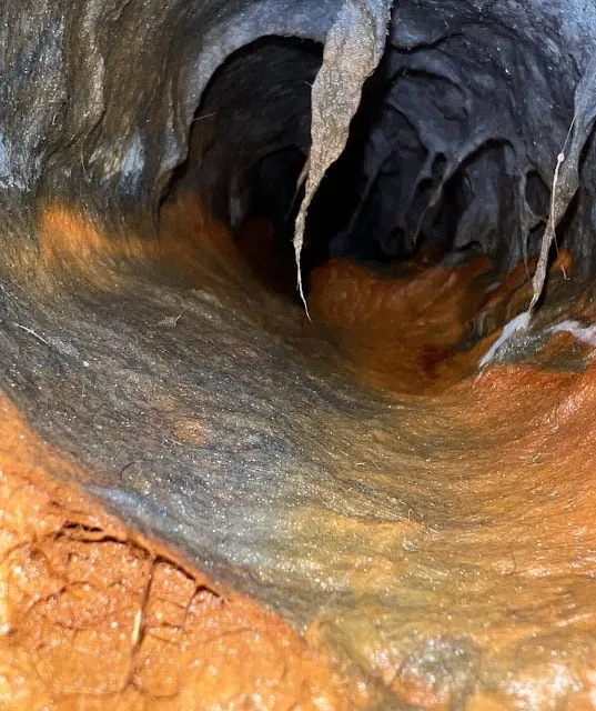 Wet dryer vent showing moisture and lint buildup