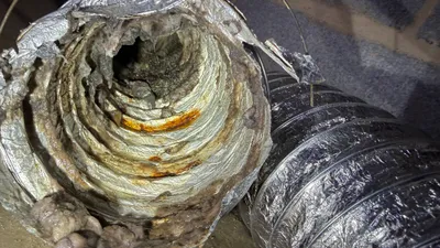 Wet soggy lint inside foil flex pulled from a New Irving Park crawlspace