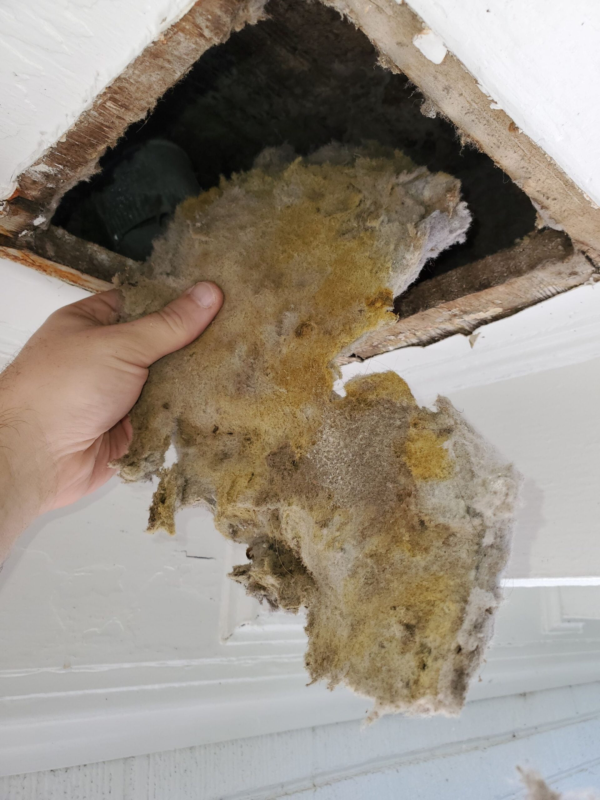 Wet lint buildup in dryer vent