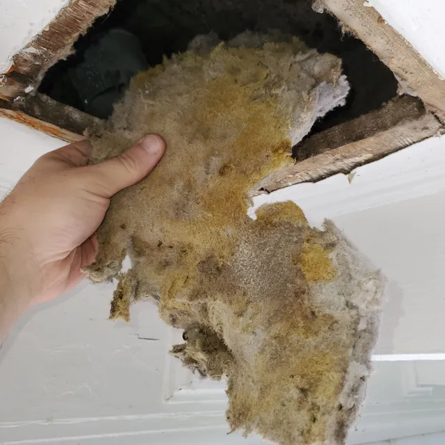 Wet lint buildup in dryer vent