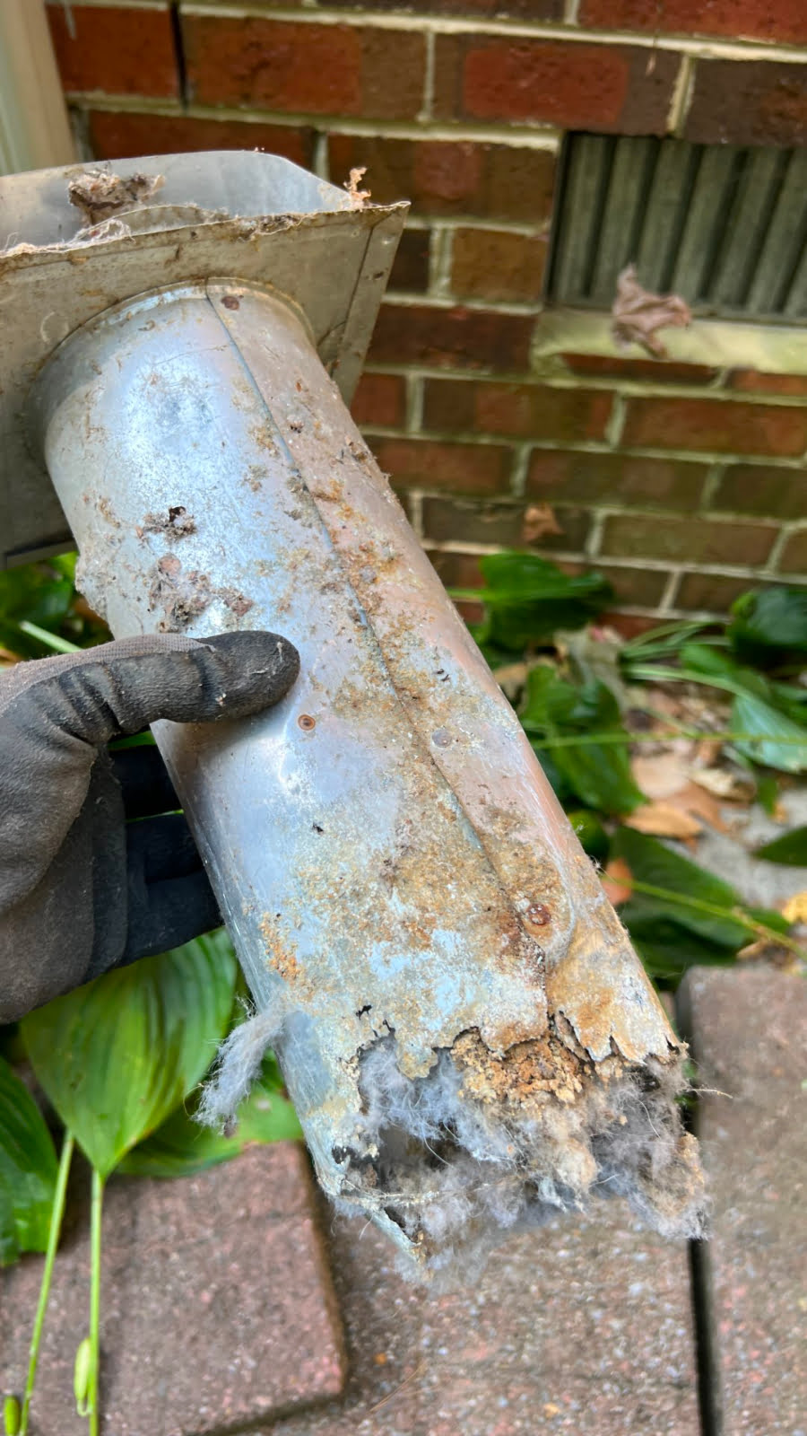 Rusted vent cover tubing