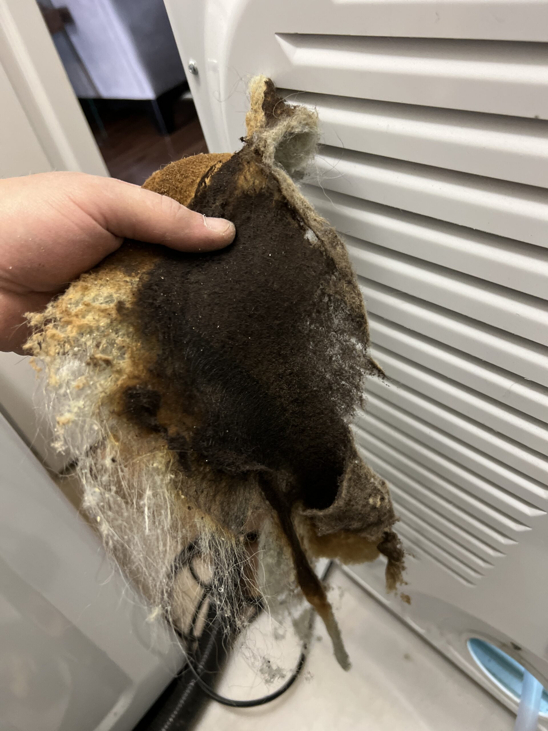 Burned dryer lint