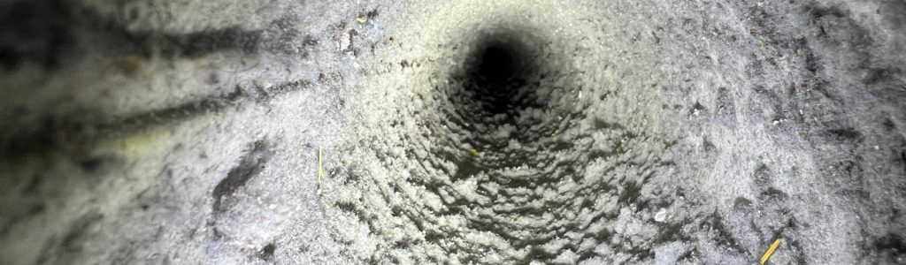 Lint-clogged dryer vent showing severely restricted airflow