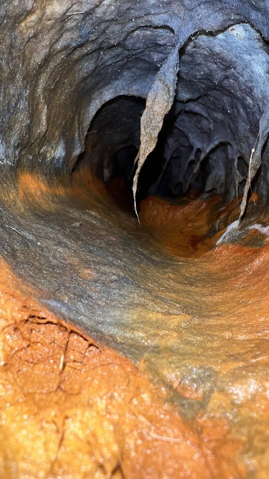 Wet dryer vent showing moisture and lint buildup