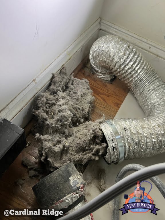 Lint removal from dryer vent Cardinal Ridge