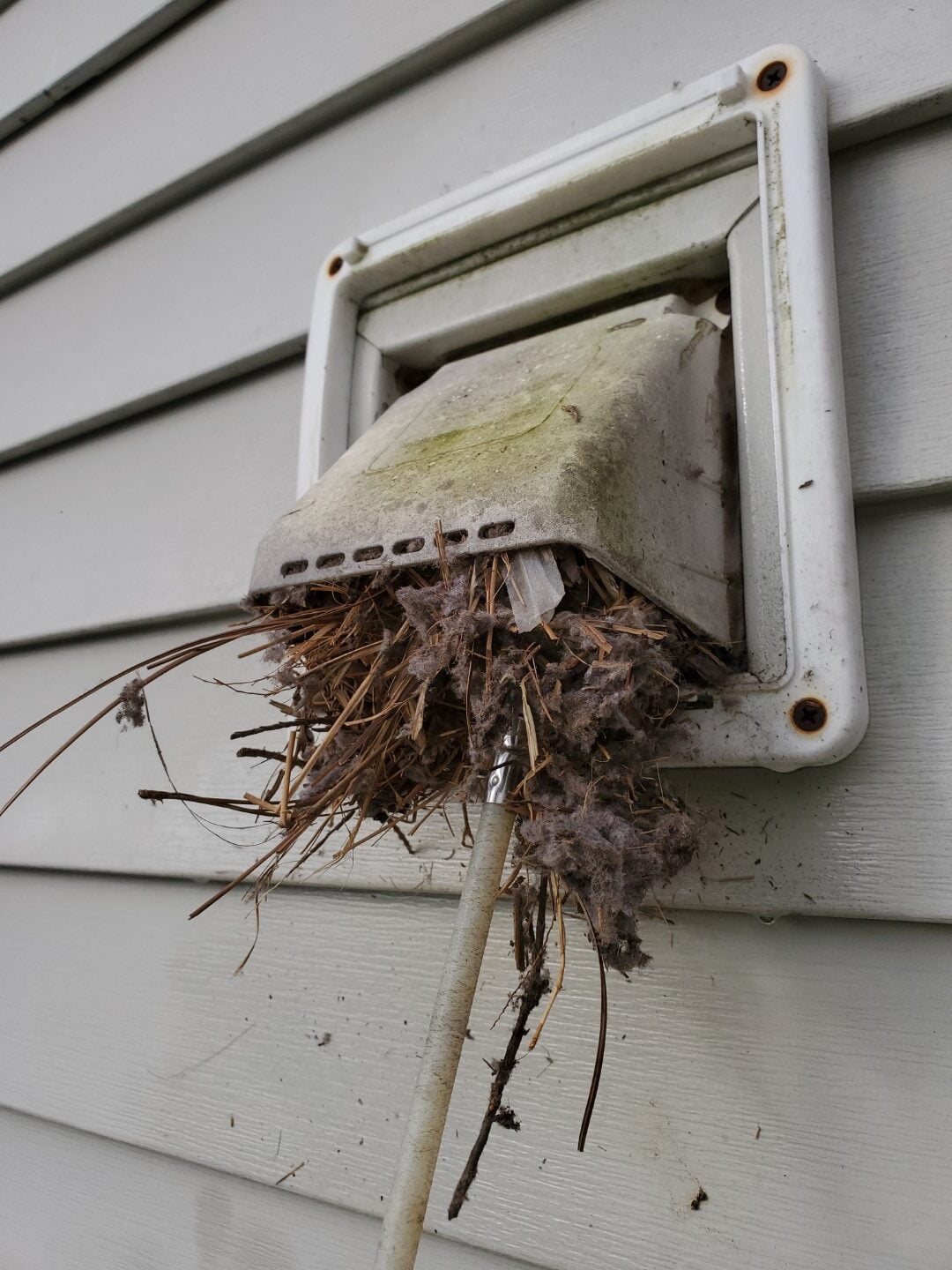 Bathroom vent cover Oak Ridge
