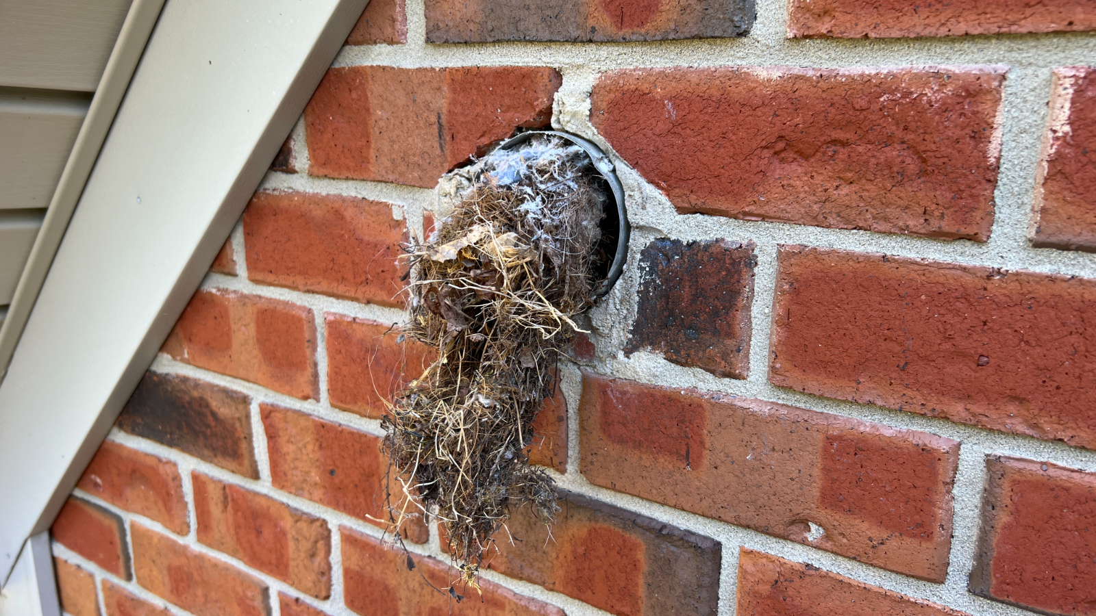Dryer vent on roof Oak Ridge