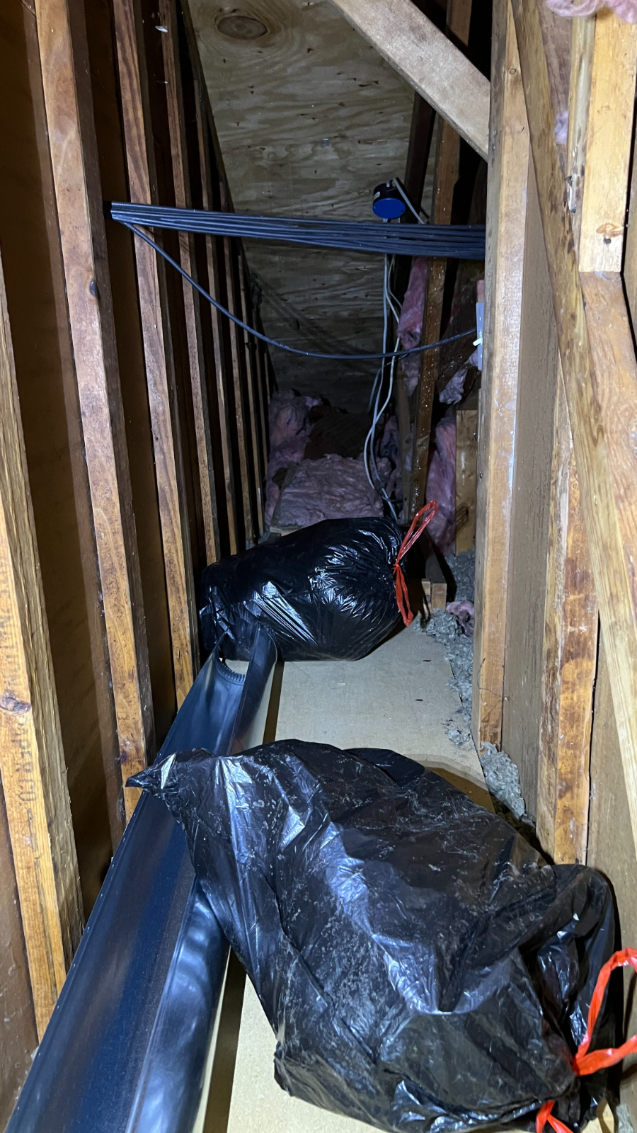 Haul away trash from attic