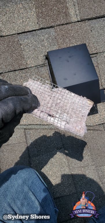Dryer vent roof pathway Sydney Shores Greensboro