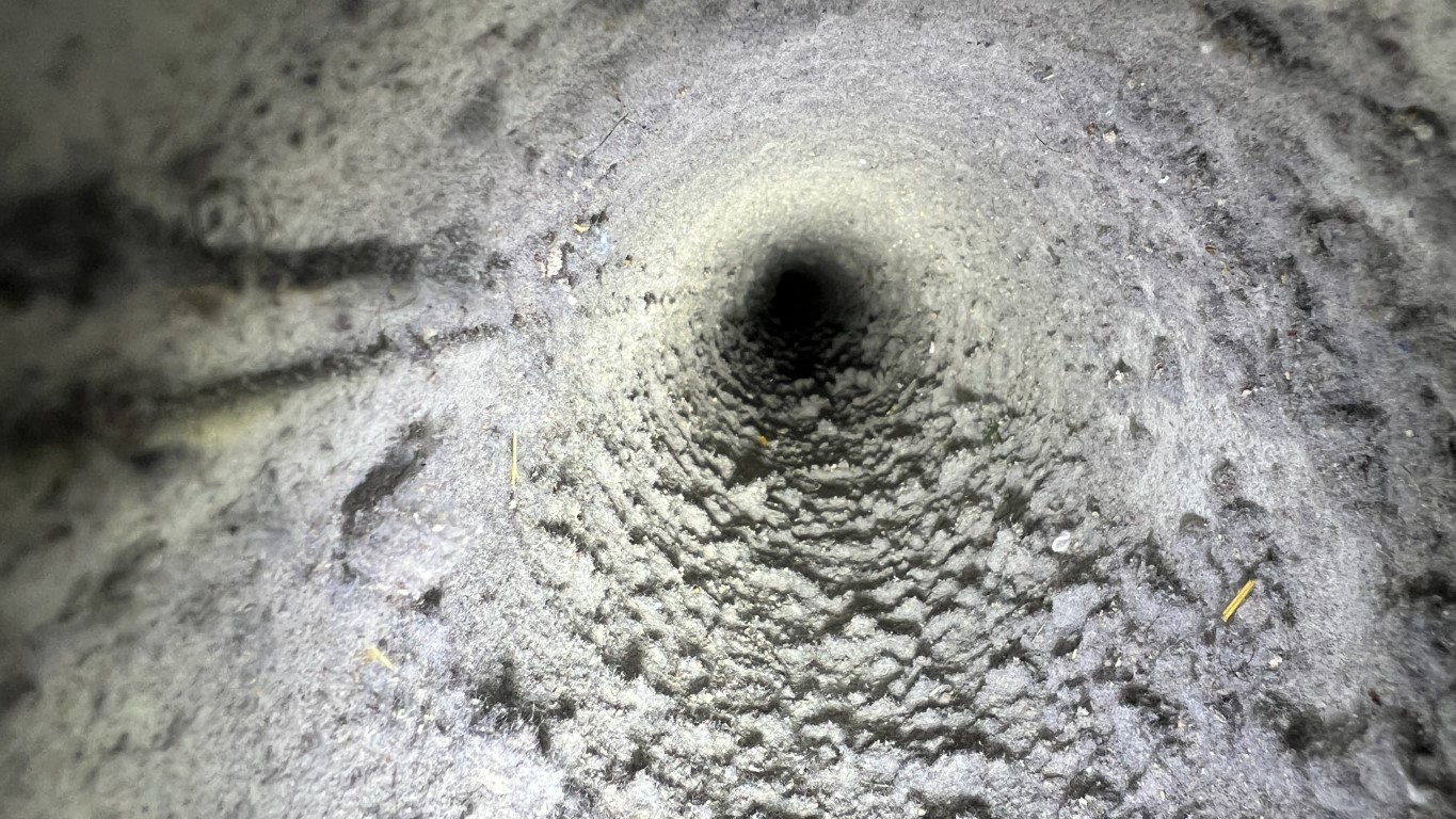 Dirty dryer vent before cleaning Whisper Creek