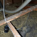 lint eater brush stuck in attic