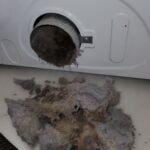 moldy lint in clothes dryer