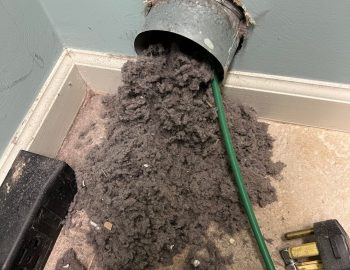 Schedule Online - Dryer Vent Cleaning