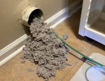 IMG 8597 qz1m705pcsi9zhtd3lt6mmwjoff207gw08myc12cr0